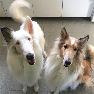 Meet your Posher, Wendy